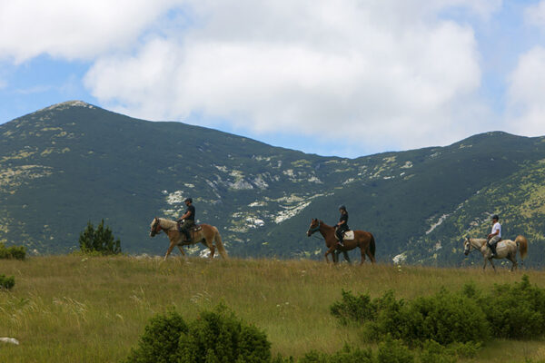 Shepard’s Cycling Trails - Navigacijski Paket