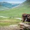 Biciklom kroz srce Balkana: Sarajevo – Mostar – Dubrovnik - Navigacijski paket - Image 8